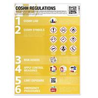 COSHH Symbols & Regulations Poster