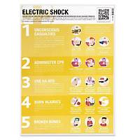Electric Shock Guidance Poster