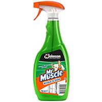 Mr Muscle Window And Glass Cleaner 750ml