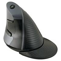 Souris ergonomique sans fil Dacomex V200W - droitier - noire