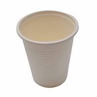 Biodegradable Cup 6.5OZ - Pack of 50
