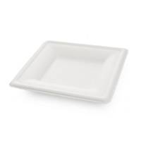 Composteerbaar bord van suikerriet, vierkant 16 x 16 cm, wit, pak van 50 borden