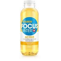 Focuswater ACTIVE 50cl, Ananas & Mango, Packung à 12 PET-Flaschen