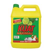 Kuat Harimau Dishwash Detergent 5l Lime
