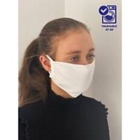 Exacompta Individual Protective Mask (Non Surgical)