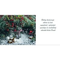 Újévi képeslap - Fehér karácsonyfa 20 x 10 cm