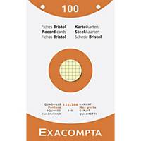 Exacompta systeemkaarten, geruit, geperforeerd, 125x200mm, 4 kleuren, 100 fiches