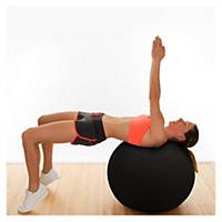 Floortex AFS-TEX Balance Sitzball ergonomisch, 65cm, schwarz