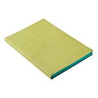 Daycraft Signature Lined Notebook A5 Light Green