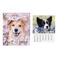 Kalendarz ścienny INTERDRUK planszowy, 33,5x40 cm, psy