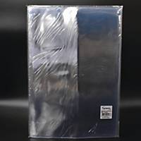 Lyreco PVC U Shape Folder F4