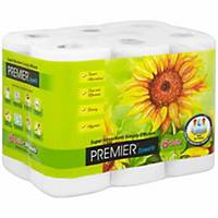 Premier Paper Towel 2ply 360 Sheets - Pack of 6