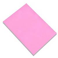 Vanguard Paper Sheet 20 X25  120G Pink - Pack of 100