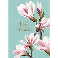 Greeting card good luck dutch no tekst - pack of 6