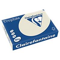 Barevný papír Clairefontaine Trophée, A4, 80 g/m², světle šedý