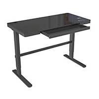 WIPAS Sit-Stand Electric Lift Table Black