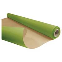 Papier d emballage - écru/vert - rouleau de 0,49 x  10 m