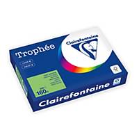 Trophee Paper A4 160Gsm Intense Green - Box of 4 Reams
