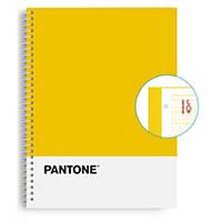 Caderno espiral Escolofi Pantone Basic - A4 - 80 folhas - 5 x 5 mm - amarelo