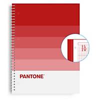 Caderno espiral Escolofi Pantone Basic - A4 - 80 folhas - 5 x 5 mm - passion