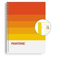 Caderno espiral Escolofi Pantone Basic - A4 - 80 folhas - 5 x 5 mm - warmth