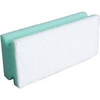 Sponge Edi Clean Basic, green/white, pack of 10 pieces