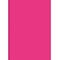 ORCA Plastic Folders PP A4 Pink - Pack of 12