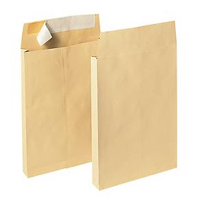 Ordinare sacchetti di carta con lembo autoadesivo?