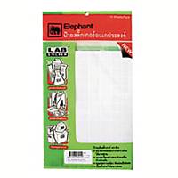 ELEPHANT A10 LABEL 25MM X 50MM 24 LABEL/SHEET - PACK OF 15 SHEETS