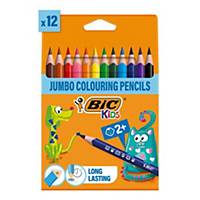 BIC Kids Evolution Triangle ECOlutions Colouring Pencils Assorted - Pack of 12