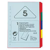 B-BIRD NK59 Plastic Paper Divider Index A4 5 Tabs 4 Colours