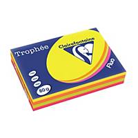 Clairefontaine Trophee 1705SC assorted fluo A4 paper, 80 gsm, per 500 sheets