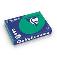 Clairefontaine Trophée 1224 gekleurd A4 papier, 120 g, dennengroen, per 250 vel