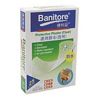 BX25 BANITORE PLASTER CLEAR