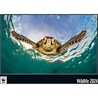 Bildkalender Simplex WWF Wildlife 61544