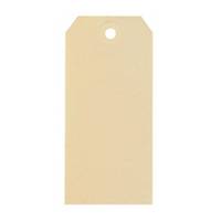 Strung tags with hole for shipment 70x140mm chamois - box of 1000