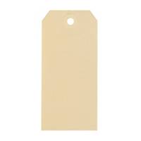 Strung tags with hole for shipment 55x110mm chamois - box of 1000