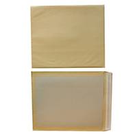 Bags cardboard back 380x450mm peel and seal 120g brown - box of 100