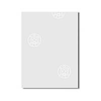 Papier DOM A4, ELCO 33021, 100g, mit Wasserzeichen, blanc, Pack à 250 Blatt
