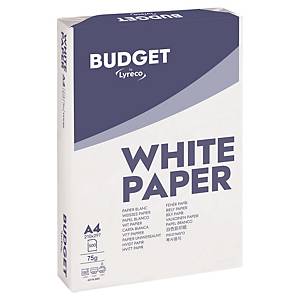 5 Ramettes 500 feuilles papier très blanc PERFORMANCE A4 75G CIE 163