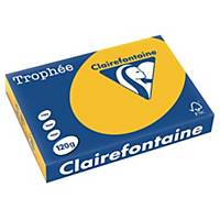 Carta Trophée 1257 A4, 120 g/m2, girasole, 250 fogli