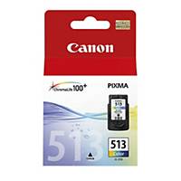 Ink cartridge Canon CL-513, 349 pages, coloured