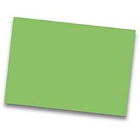 Pack de 25 cartulinas de  50x65 185g/m2  IRIS de color verde