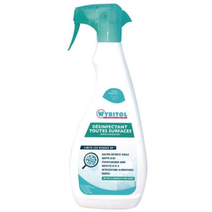 Sanytol nettoyant désinfectant multi usages vapo 750 ml à petit prix
