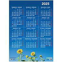 CC 6504 Vuosijuliste 2024 seinäkalenteri 520 x 720 mm