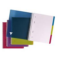 Clairefontaine Linicolor Evolutiv  Notebook A4+