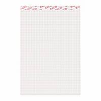 Notepad Elco 73422.17 A5, 70 g/m2, 4 mm squared, 100 sheets
