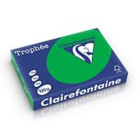 Clairefontaine Trophée 1271 gekleurd A4 papier, 120 g, groen, per 250 vel