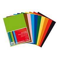 Drawing paper A4 120 g assortment colors - pack of 500