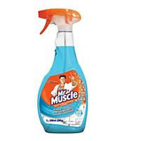 Mr Muscle Glass Cleaner Trigger 500g